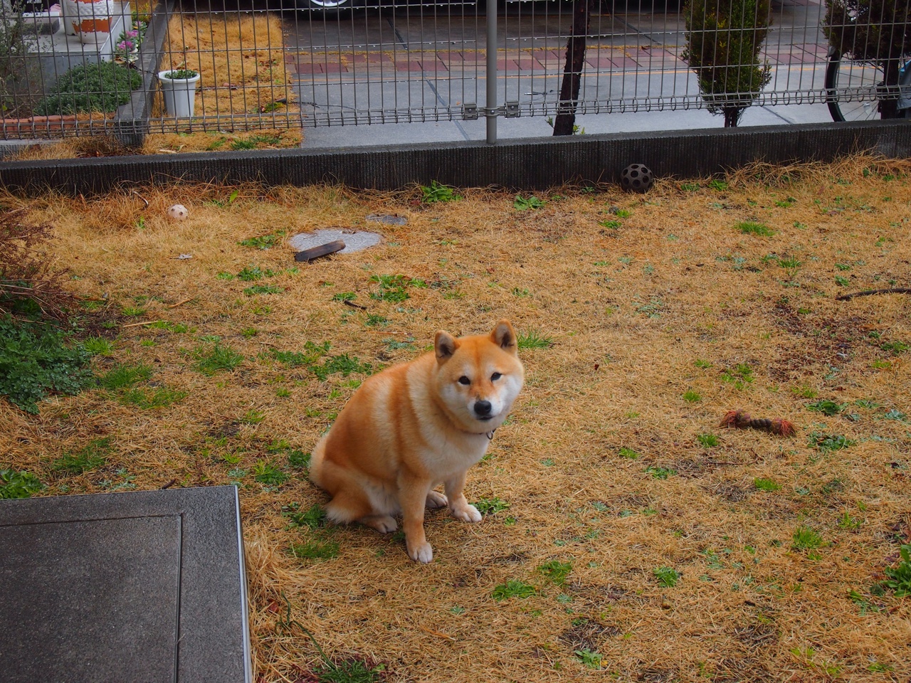 -【电子判罚的争议】VAR是否降低了裁判误判率？，var裁判有几个