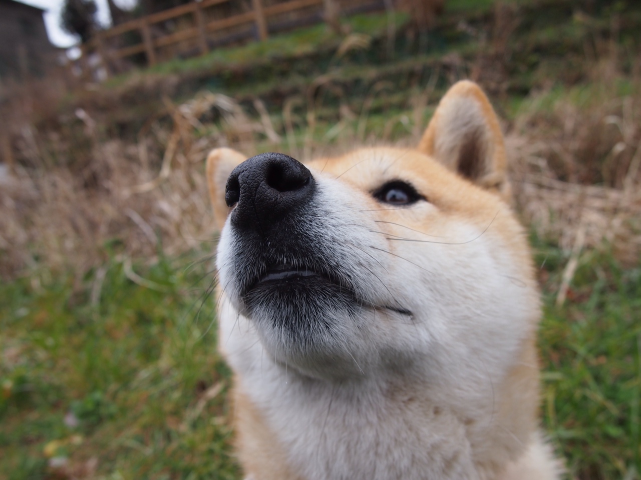 九游娱乐官网 (jiuyou)-乌拉圭男足在巴黎奥运会比赛中表现出色，赢得奖项，乌拉圭男足排名