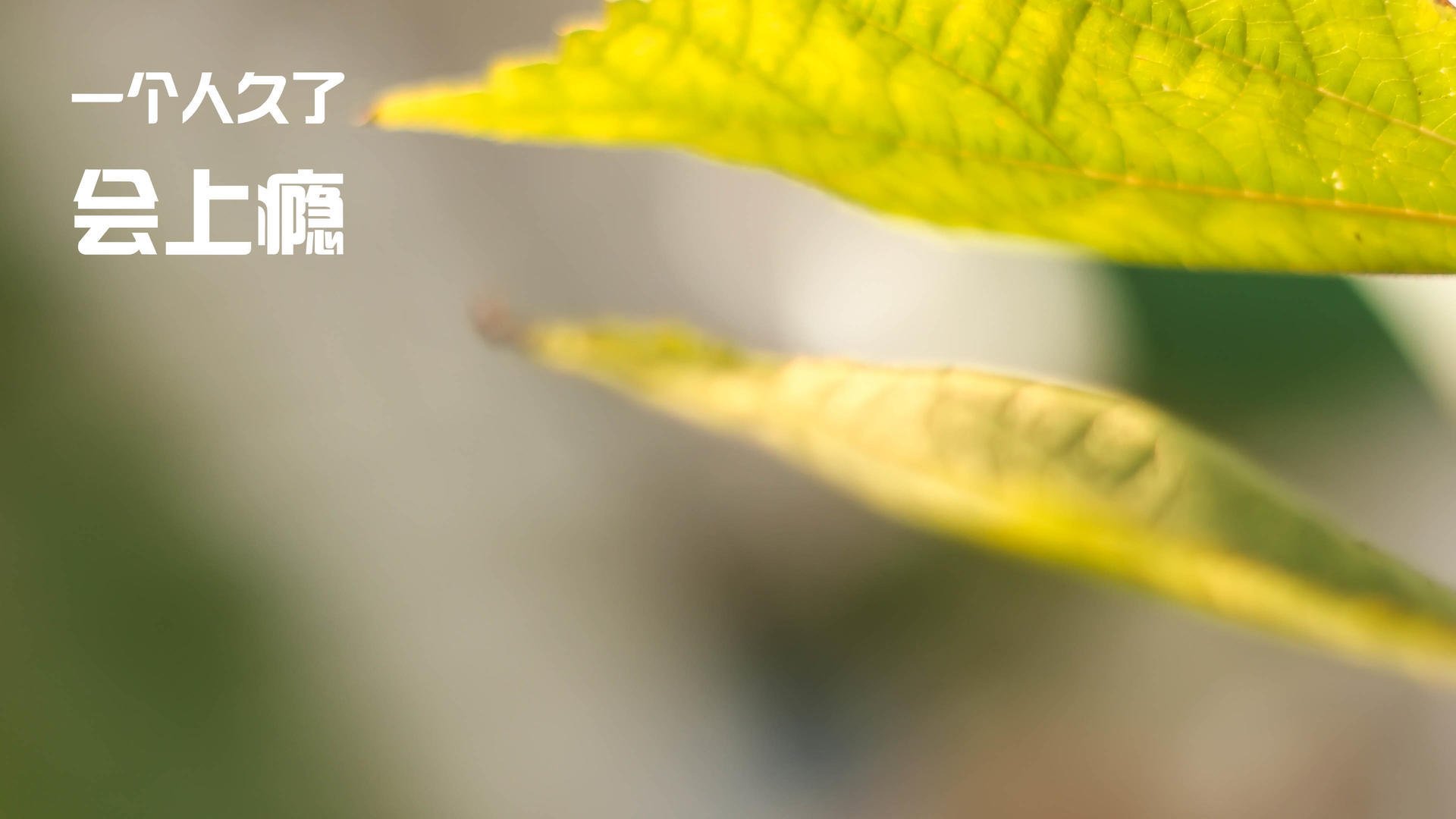 九游网页版官网-终极挑战：在极端气象条件下保持赛车稳定，终极挑战 最新章节 无弹窗