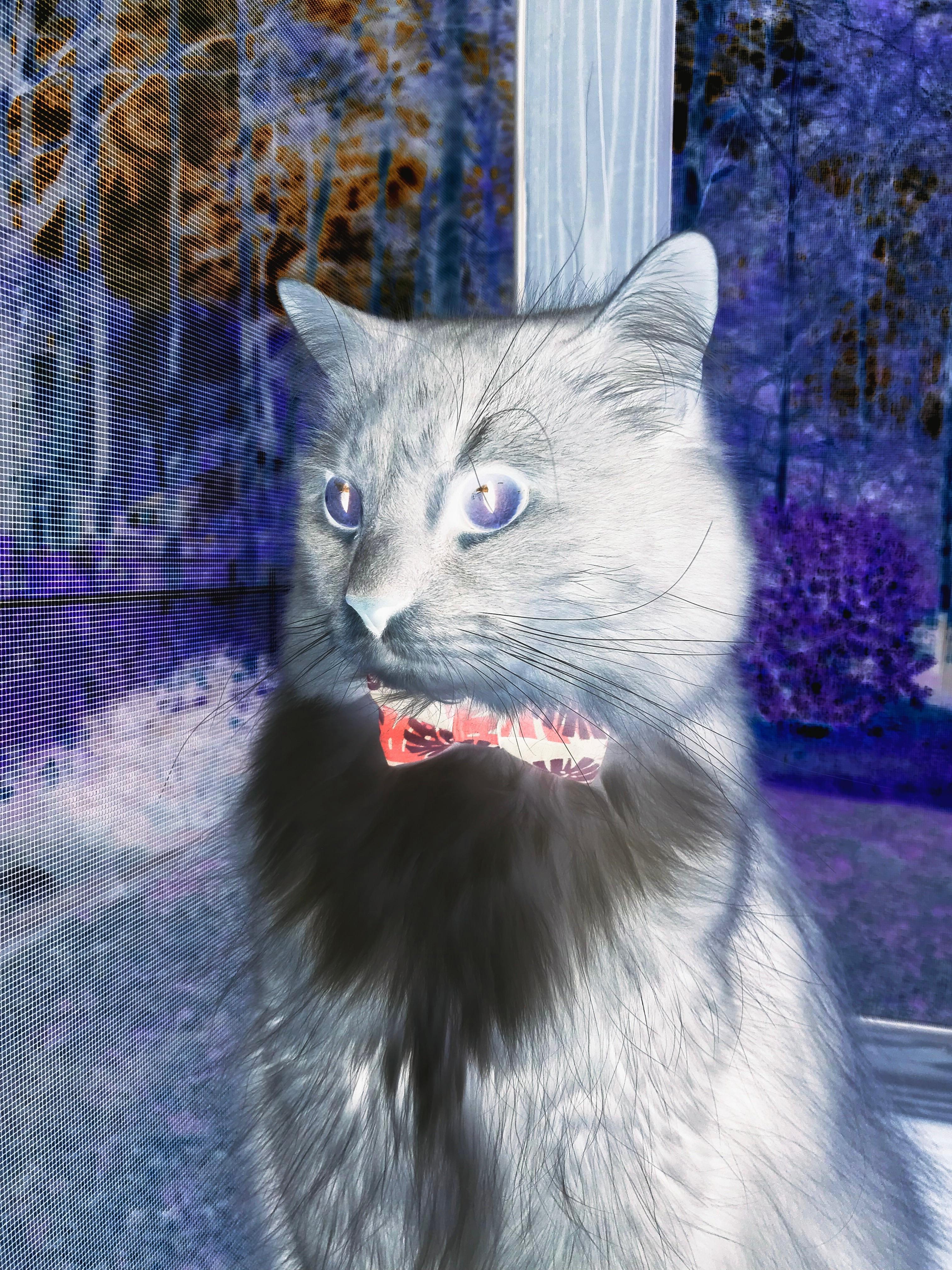 九游官网pc-青年先锋：新兴力量带来新气象，新兴青年群体开展什么活动