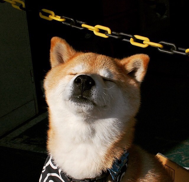 九游app下载中心-拜仁慕尼黑新赛季引进多位巨星战术调整，拜仁慕尼黑首发阵容2020