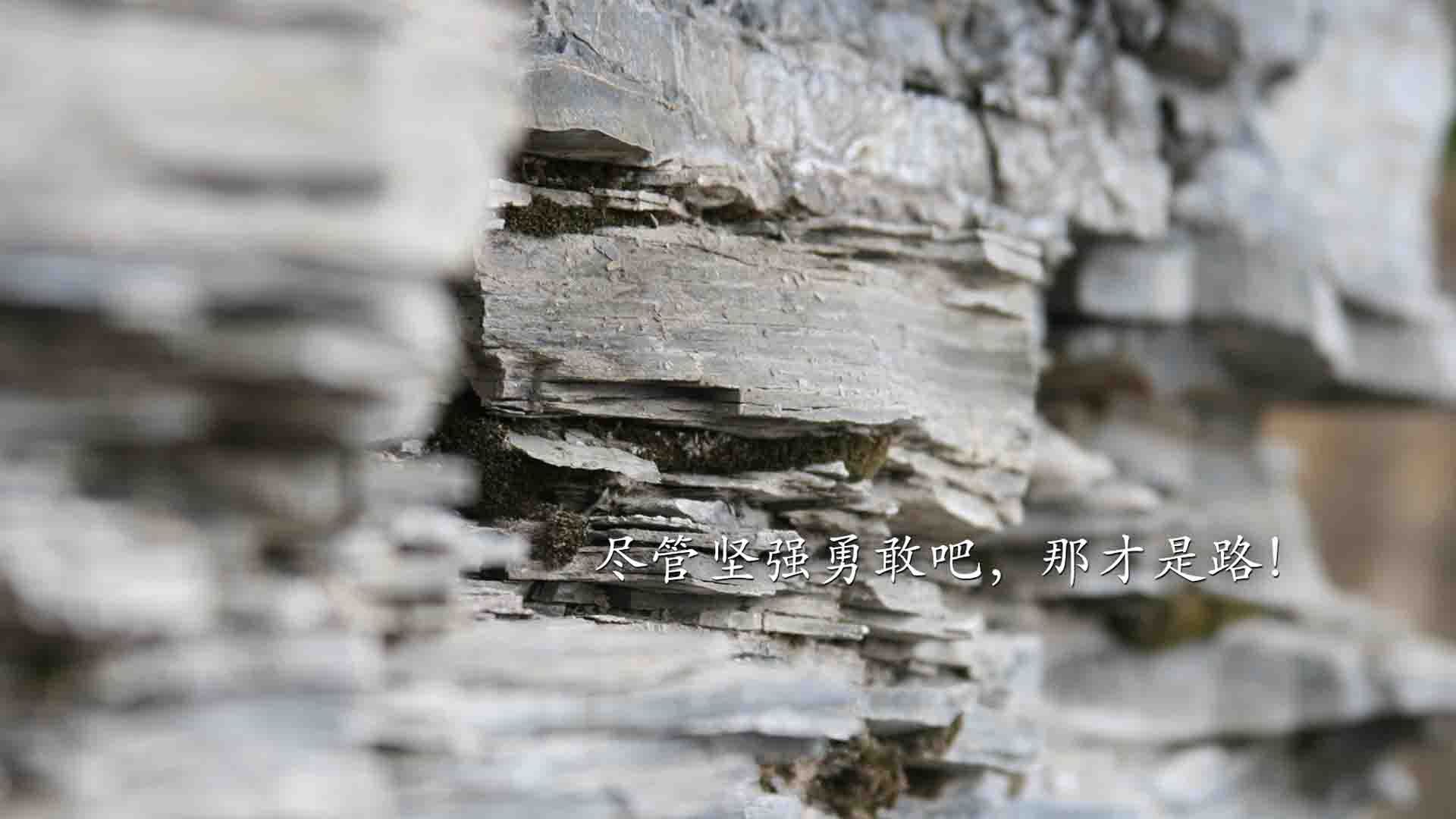 九游官网下载电脑版-沙尔克球员集体休假，调整状态备战接下来的比赛，沙尔克球迷多吗