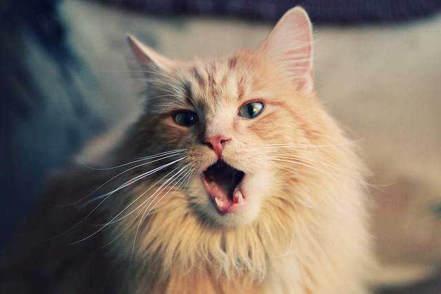 九游网页版官网-霍芬海姆球队士气低迷，球员状态低迷需调整，霍芬海姆比赛视频聚胜顽球汇