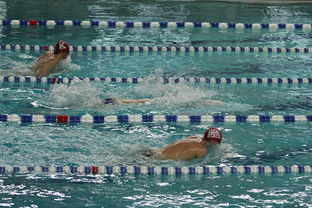 九游电脑版-世界短池游泳锦标赛多项世界纪录诞生，第一届世界短池游泳锦标赛