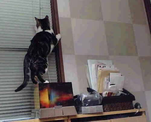 九游网页版入口-法甲VAR系统中语义分析模块提升判罚透明度