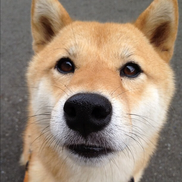 九游-体育新闻中心上线体育创作者信用评分模型，体育新闻评选