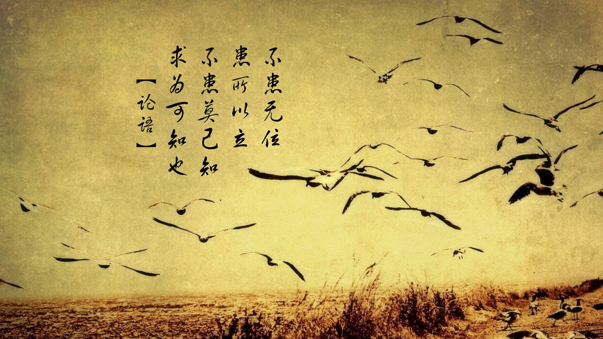 九游网-节奏偏快是否更适合快轮转高对抗阵容，节奏较快