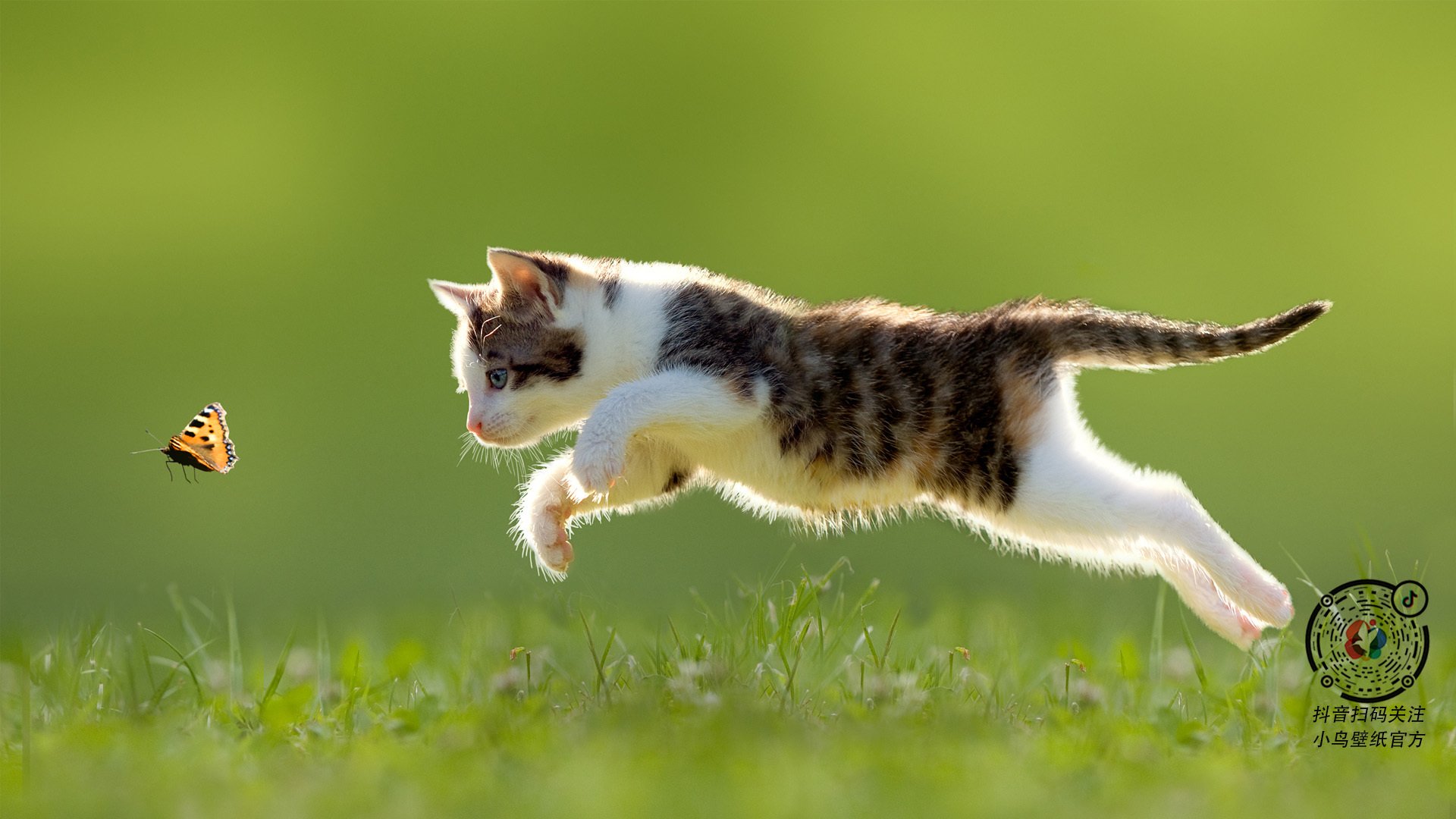 九游娱乐官网 (JIUYOU)-职业联赛品牌传播策略脱节社交趋势，职业联赛的意义